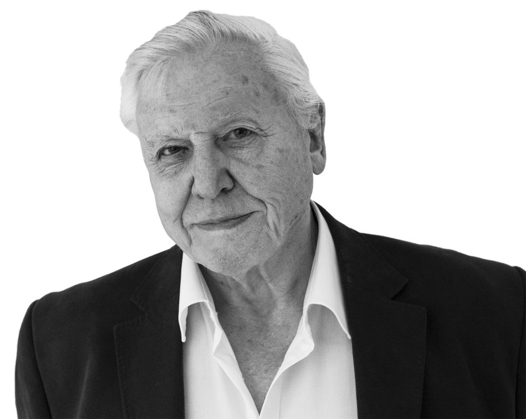 David Attenborough